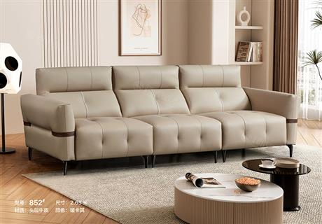 沙發(fā)852#