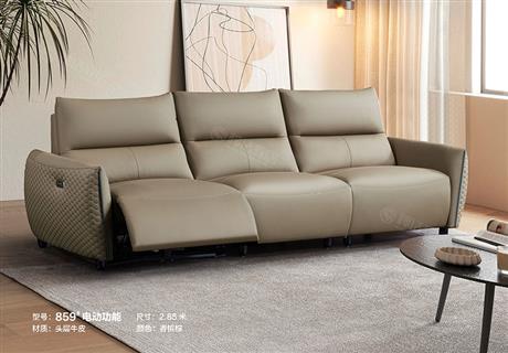 沙發(fā)電動(dòng)功能859#