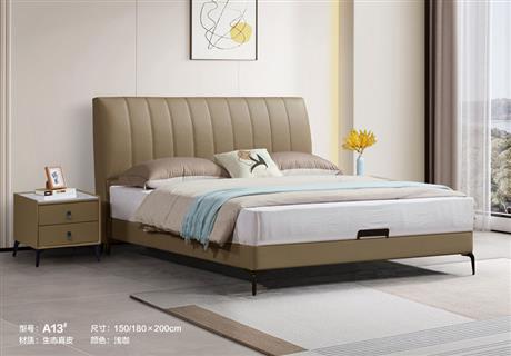 生態(tài)真 皮A13